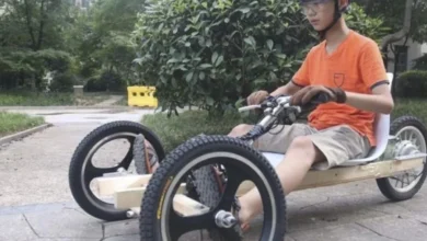 chinese go cart